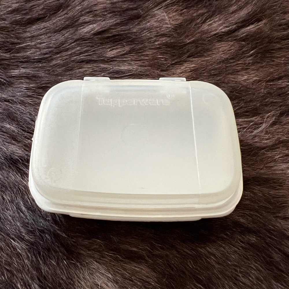 Vintage Tupperware Modular Server Tray Magnet – Mini Size – NEW